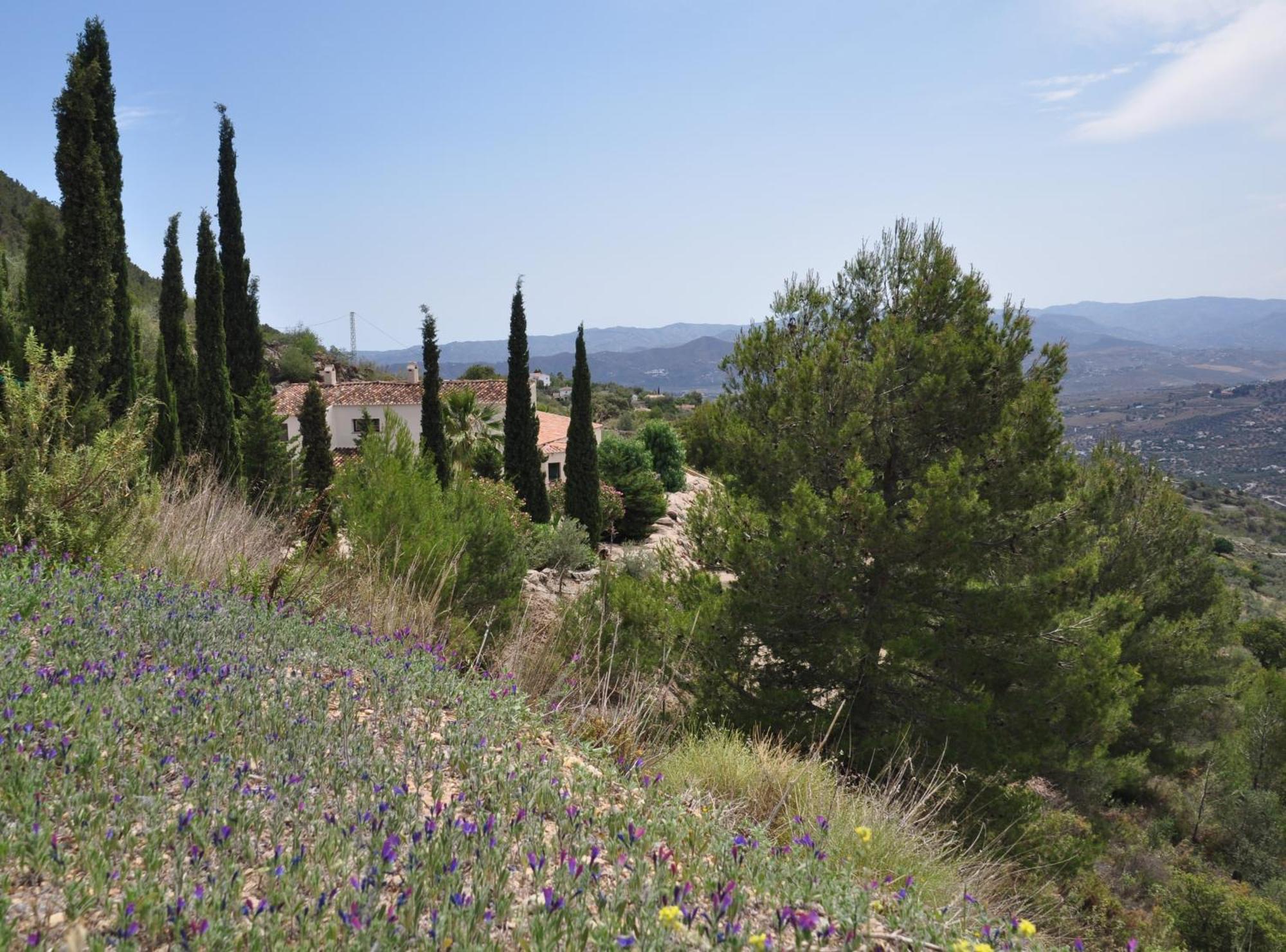 Boutique B&B El Refugio Alcaucin Bagian luar foto